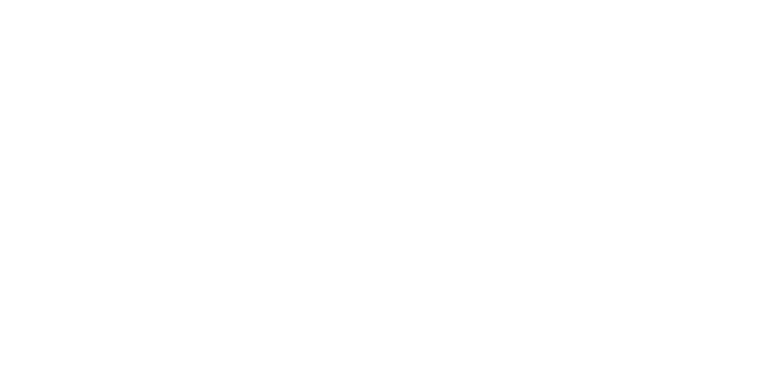 Central Analysis Bureau