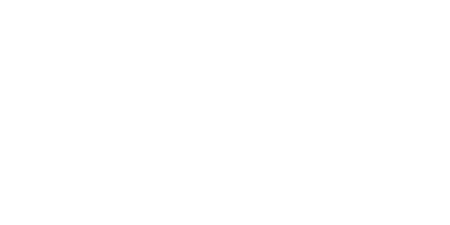 RigDig Business Intelligence